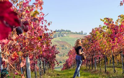 Le 10 immagini che ispirano una visita a Castelvetro di Modena in autunno
